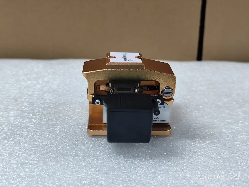 FP-S09: vista posterior